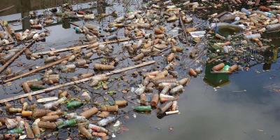 Water Pollution বিষয়ক Paragraph লিখন , ৭ম পর্ব, এইচএসসি ইংরেজি ২য় পত্র